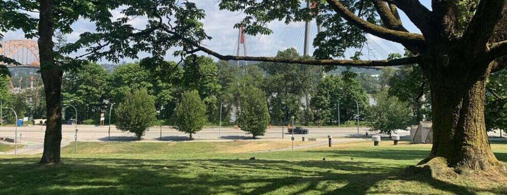 Off-Leash Dog Area Coming to Albert Crescent Park in Downtown New Westminster